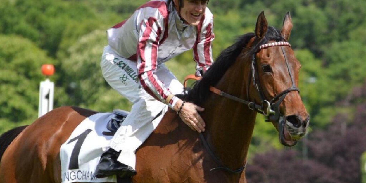 HORSERACINGADDI's profile banner image