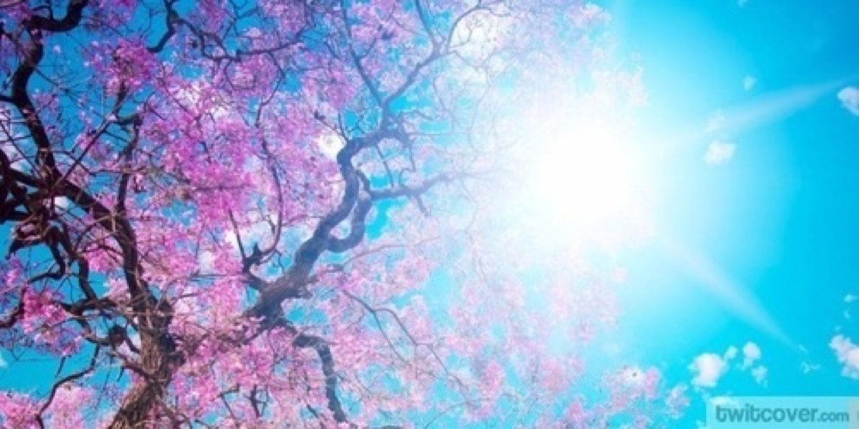 Missyf786's profile banner image