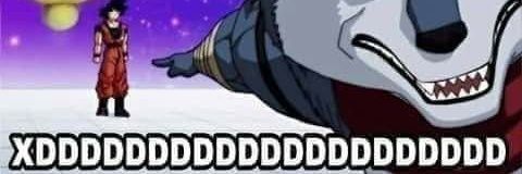 PotoFucker's profile banner image