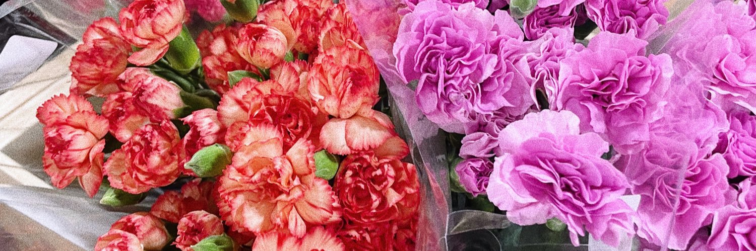 LariStyleBlog's profile banner image