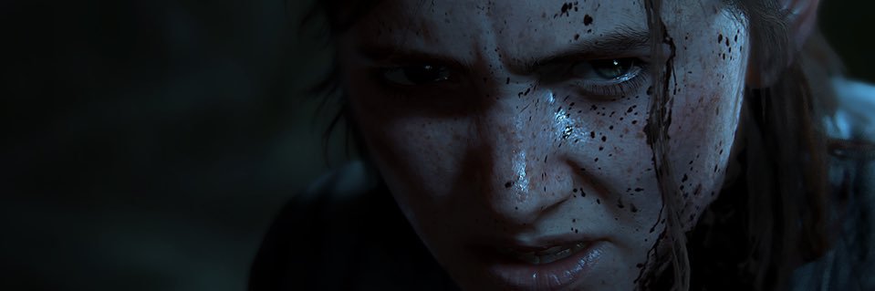 nick banner
