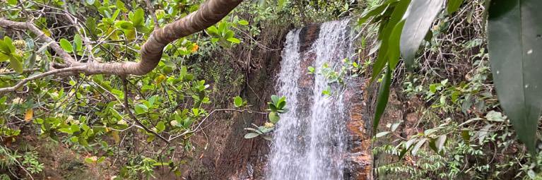 mixdb 🥂🎒🥃🧚🏻‍♀️🥾🧙‍♀️ banner