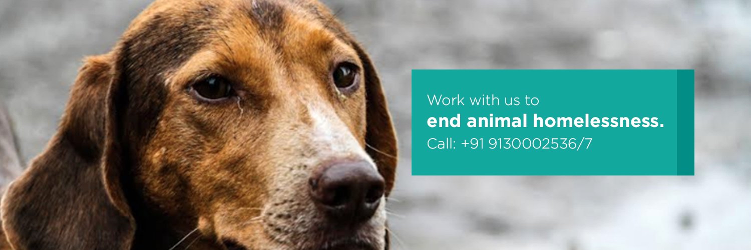 Canine Control and Care banner