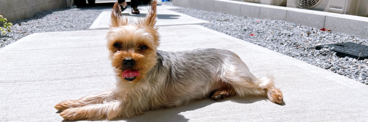 ∠吉盛えりか★書籍編集者 banner