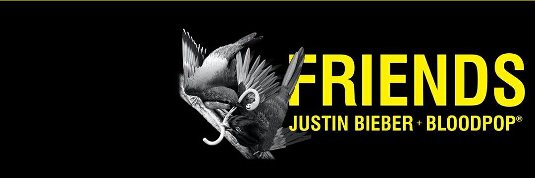 baebybieber's profile banner image