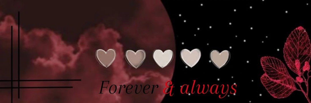 stilinski2401's profile banner image