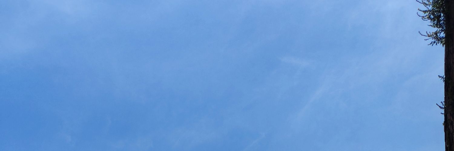 15 🤍 banner