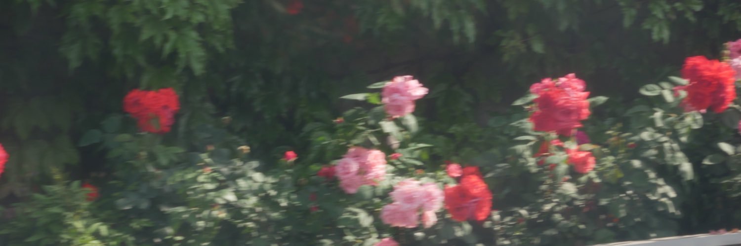 eeeee banner