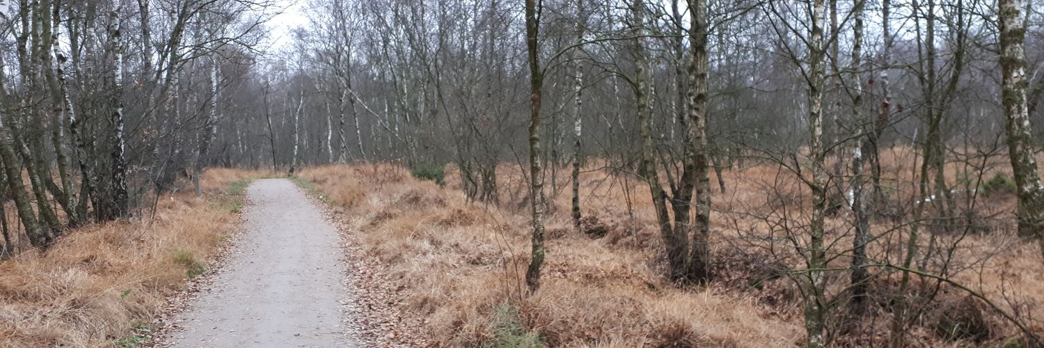 Anne Zwickermann banner