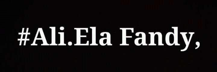 elafandy_ali's profile banner image