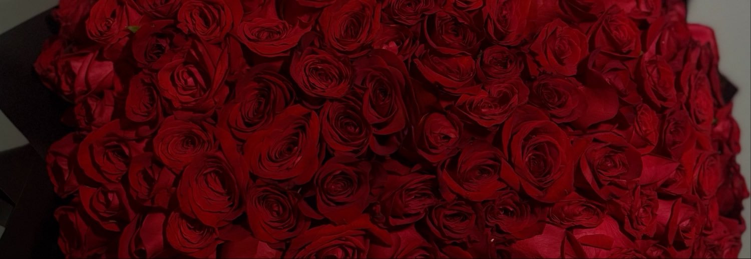 anniestark10's profile banner image