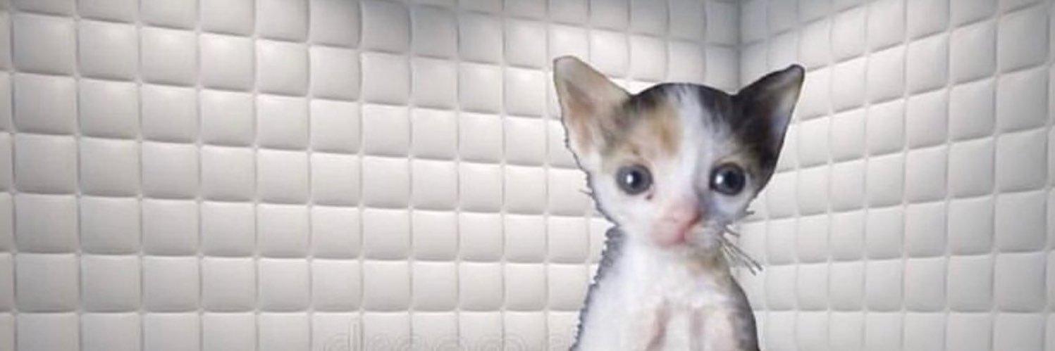 manghoeee's profile banner image