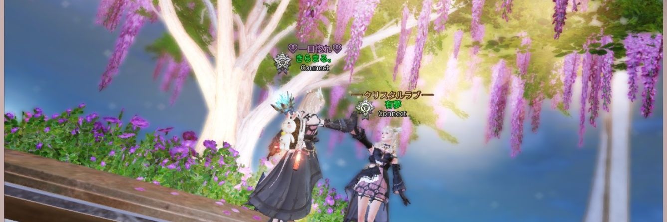 きらまる。 banner