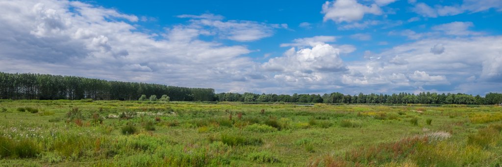 KingfishersBridgeNatureReserve banner