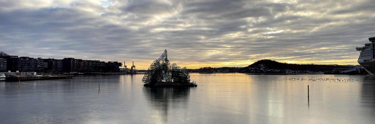 Cecilia Vezzani banner