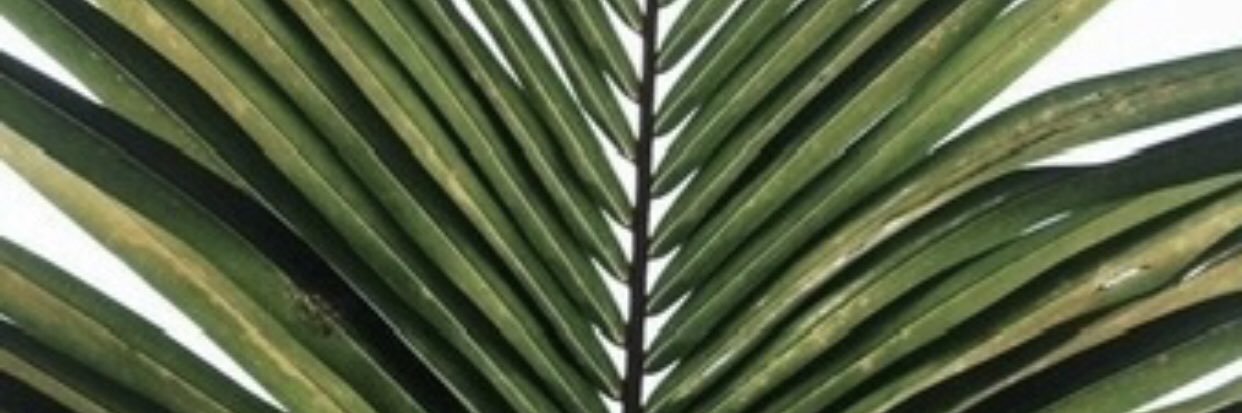 Keepin_ItG's profile banner image