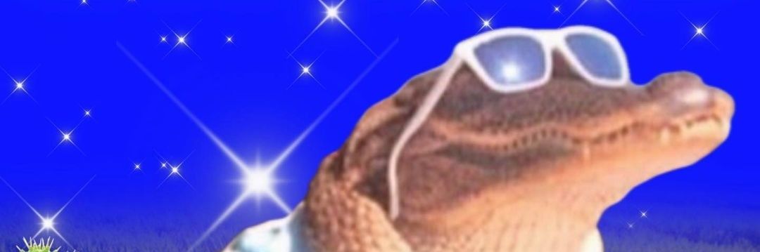miau_hs's profile banner image