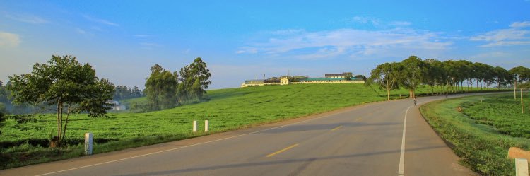 LevinBbala's profile banner image