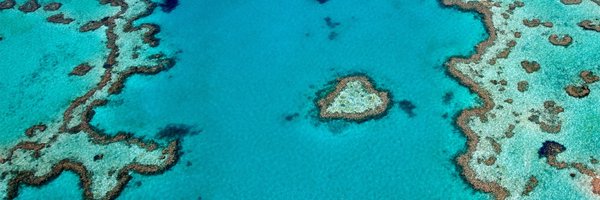 OceanloversFest Profile Banner