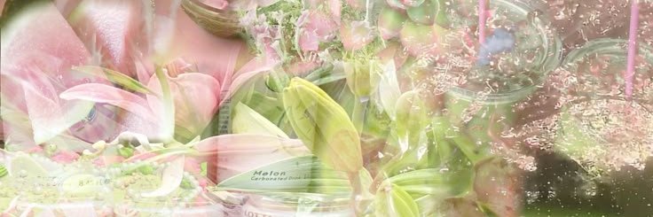 Miaw .. t☻es ❤︎ 🐈‍⬛ Snuggly o’ kitty, Wonhee! 𖤣 banner