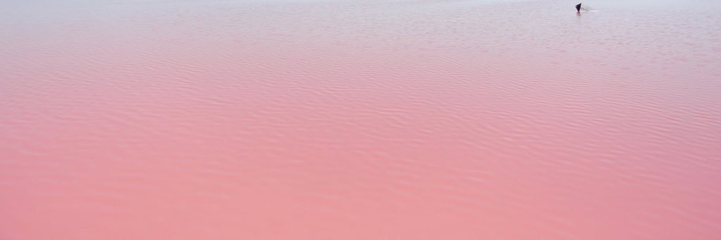 Carolineltrm's profile banner image