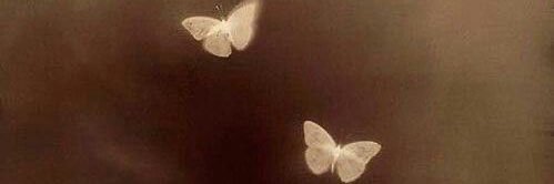 24/7 banner