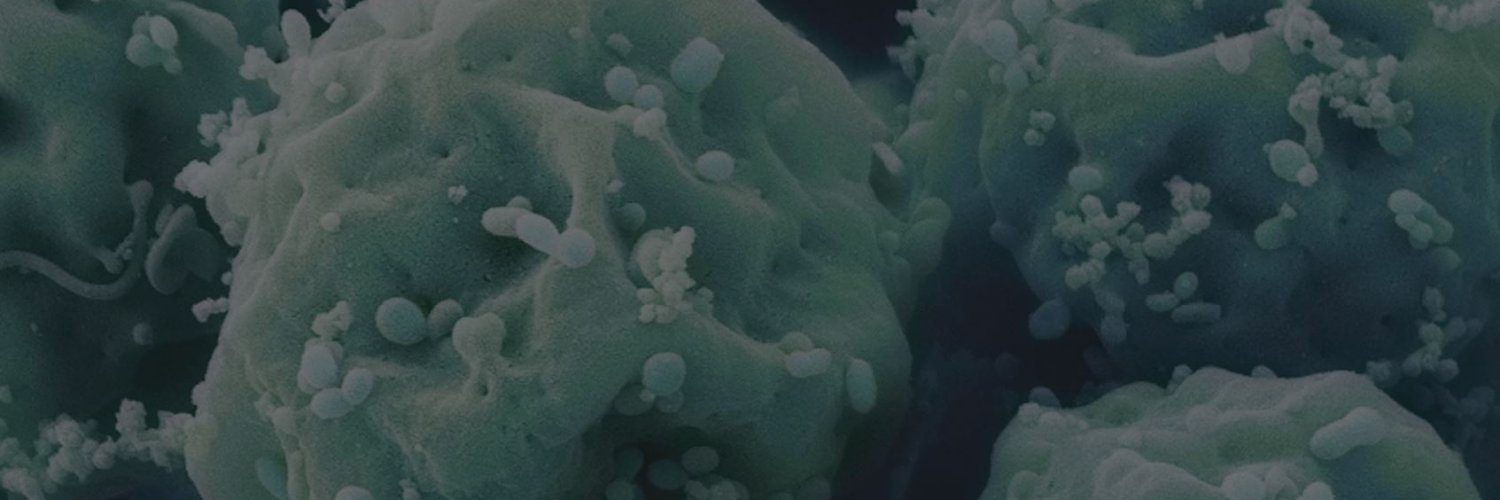 ONEBIO2's profile banner image