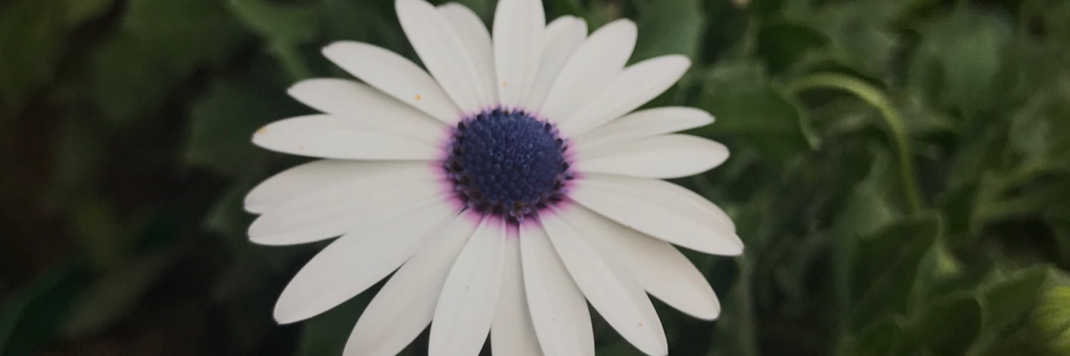 geeorgich1's profile banner image