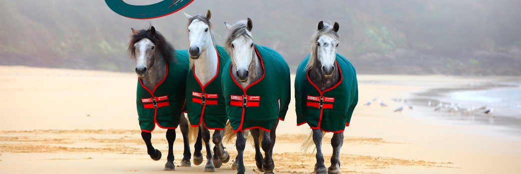 The Equine Warehouse banner