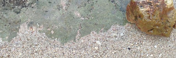 cattocut Profile Banner