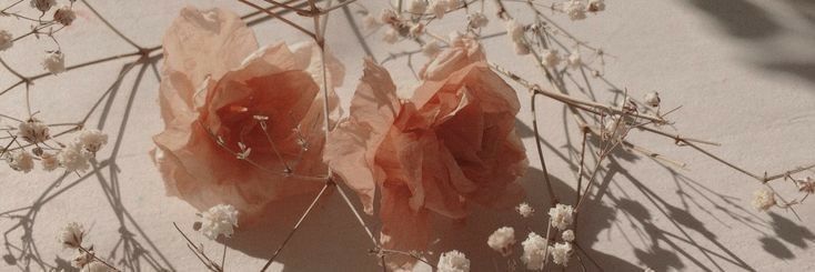 𝓐𝑟͟𝑢͟𝑛͟𝑒͟𝑠͟𝑠͟𝑎 banner