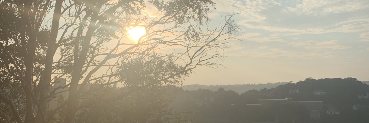 iiShadster's profile banner image