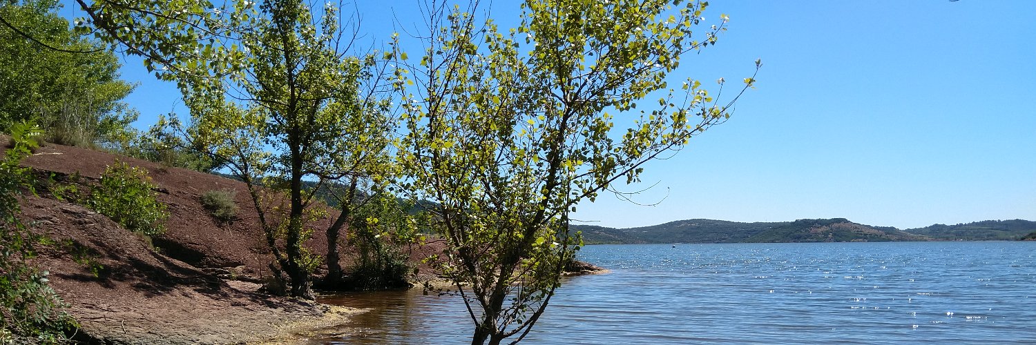 Pedro Danlelico banner