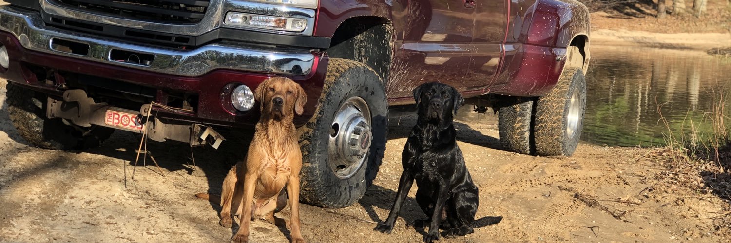 stuhr61's profile banner image