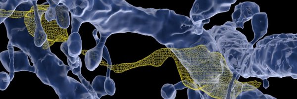 Brainmind_EPFL Profile Banner