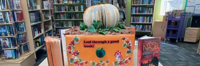 Central Bedfordshire Council Libraries banner
