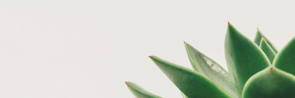 Charlotte Matabaro banner