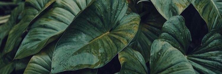 voodoochild__'s profile banner image