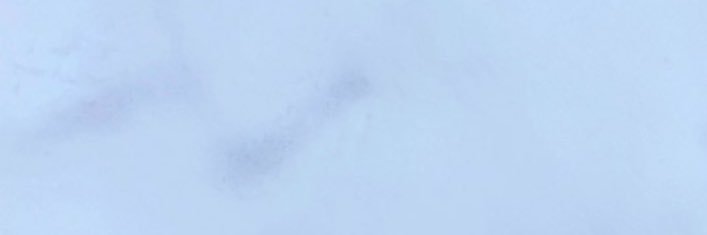 はじ's banner