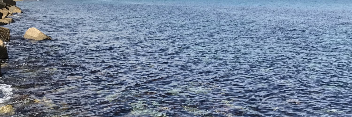 Steffen H #FBPE #Democracy #StandWithUkraine 🇺🇦 banner