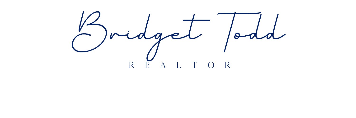 BridgetMTodd's profile banner image
