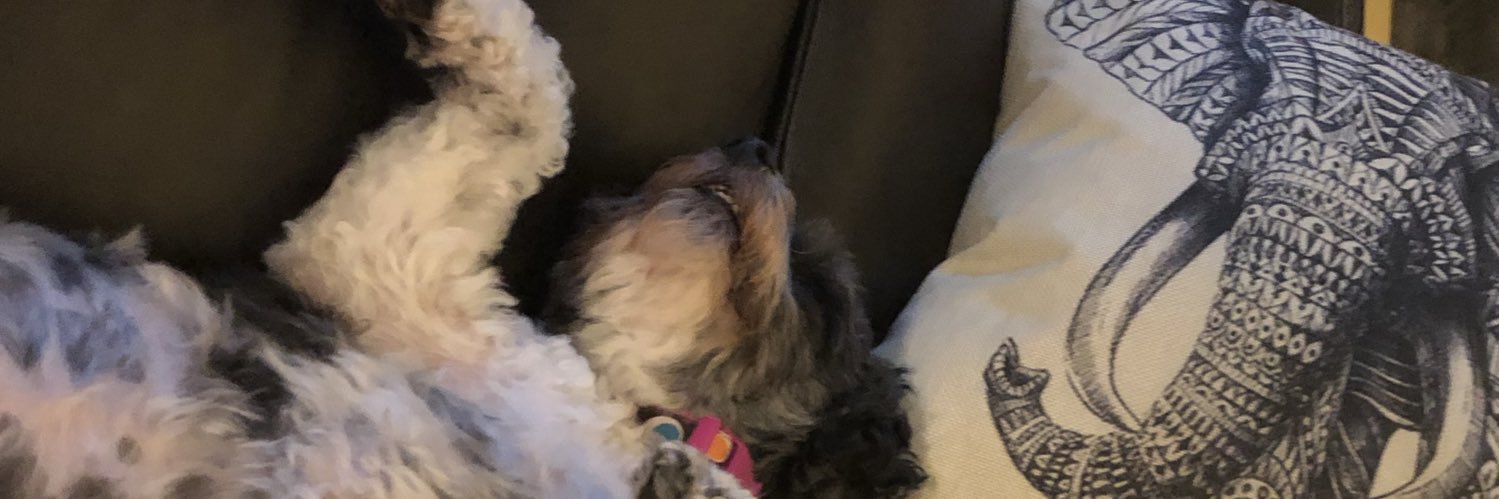 Maeby11's profile banner image