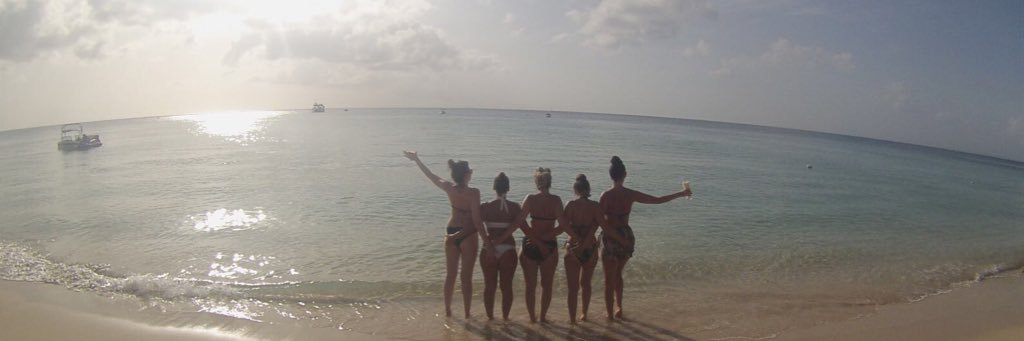 Danielle banner