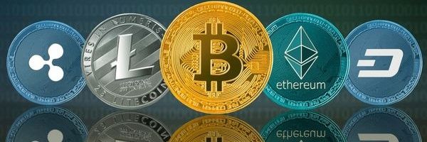 CryptoNinja_1's profile banner image