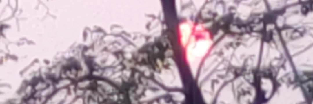 MichLoaisiga's profile banner image