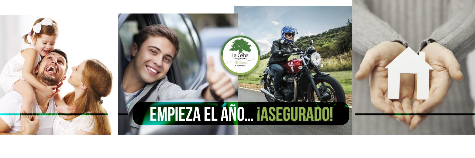 aceiba's profile banner image