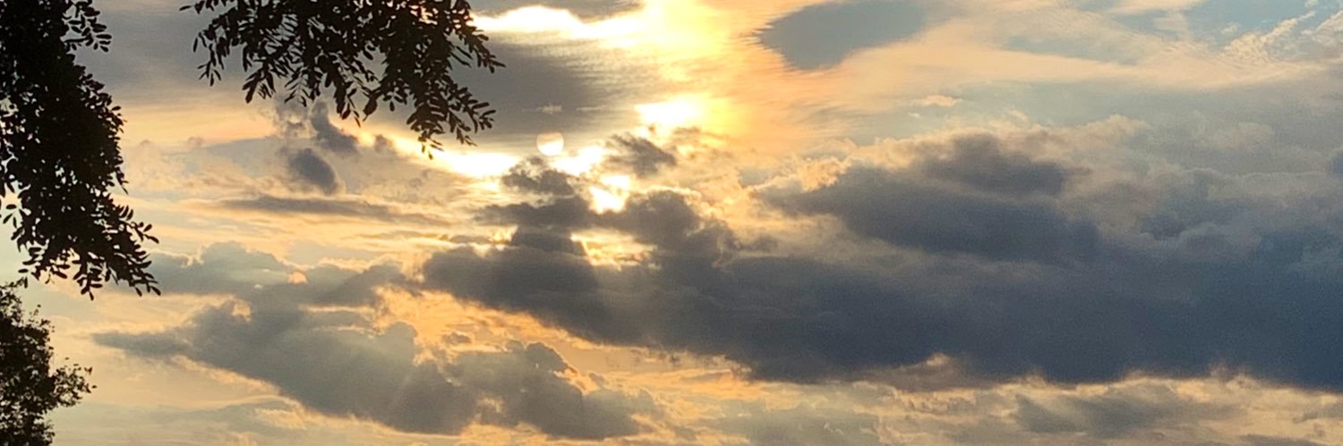 andyy_lanee's profile banner image