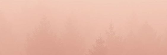 Yoon Kim's banner