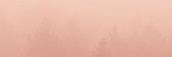 nicoscosc Profile Banner