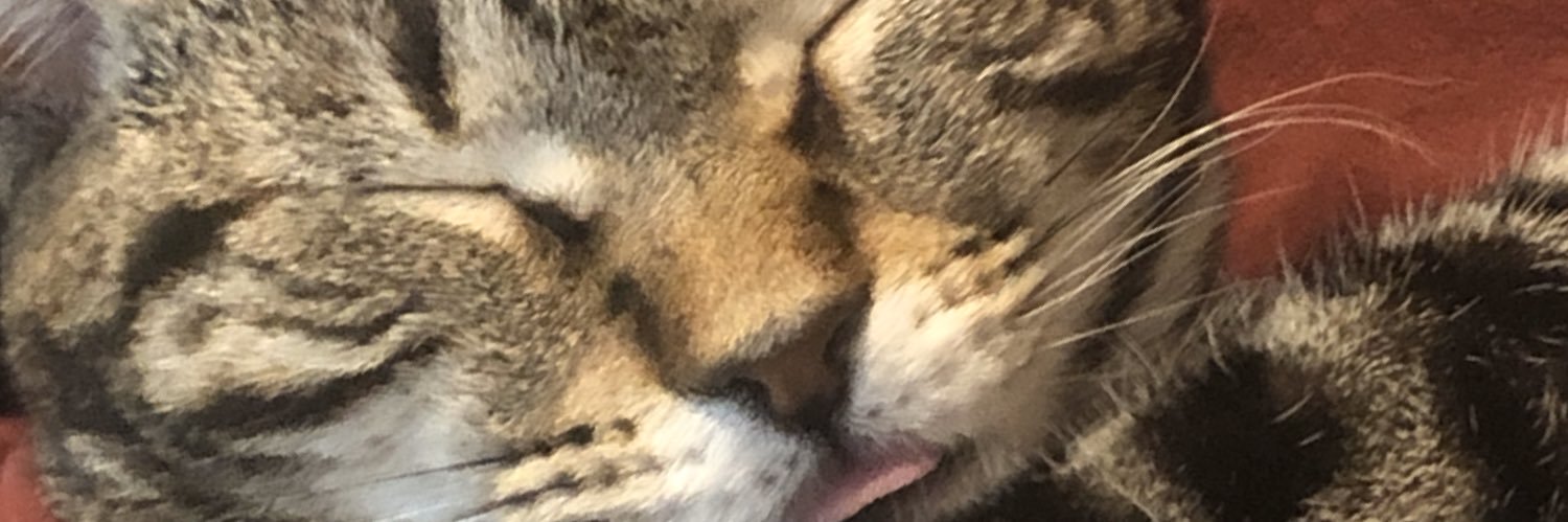 MitchKauffman's profile banner image